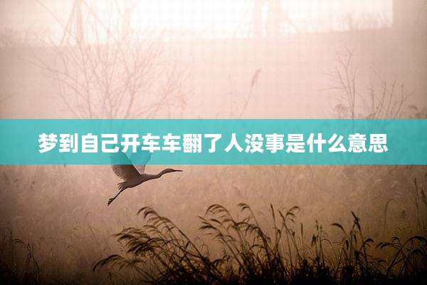 梦到自己开车车翻了人没事是什么意思