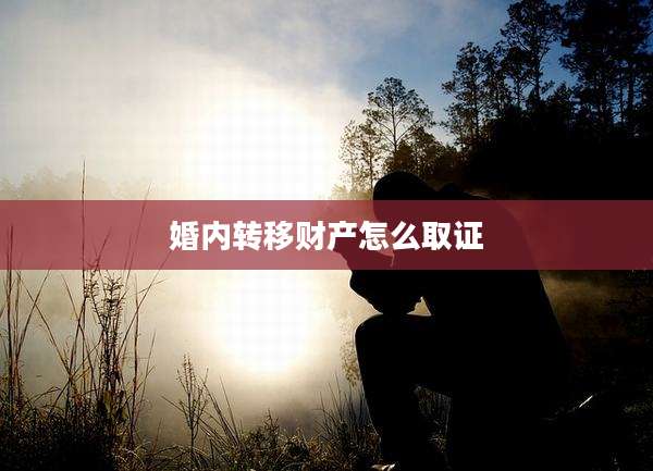 婚内转移财产怎么取证