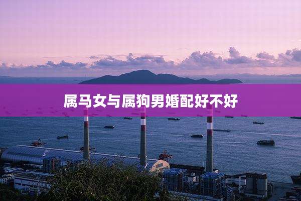 属马女与属狗男婚配好不好