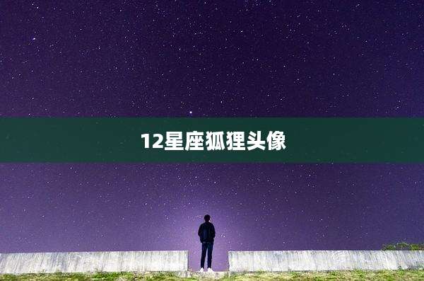 12星座狐狸头像