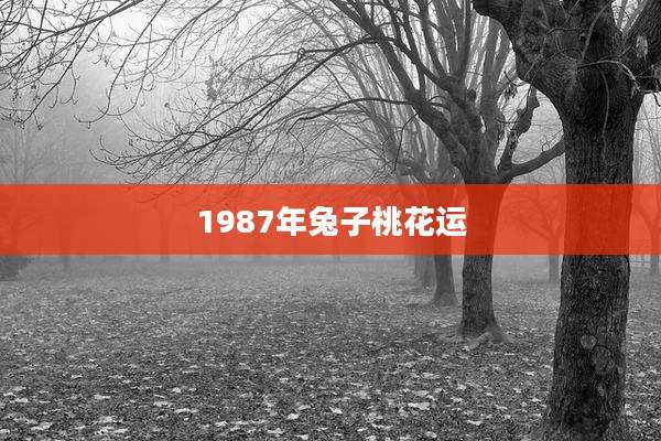 1987年兔子桃花运