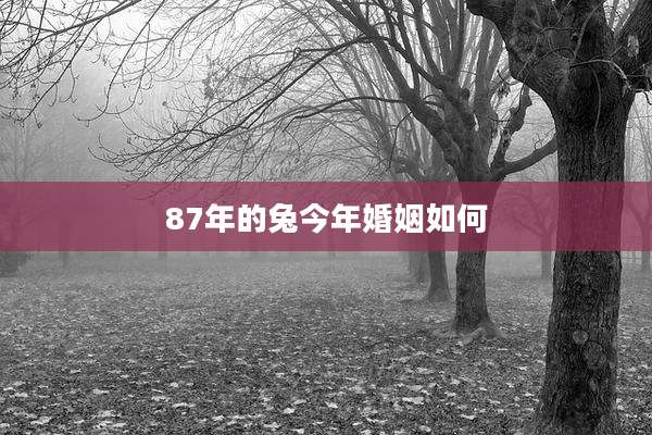 87年的兔今年婚姻如何