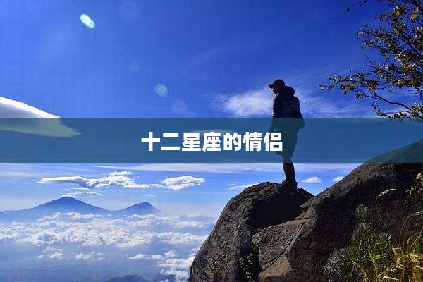 十二星座的情侣