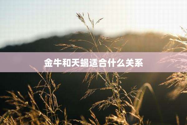 金牛和天蝎适合什么关系