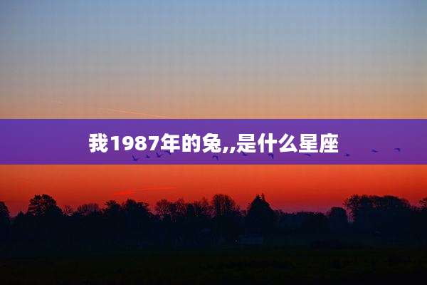 我1987年的兔,,是什么星座
