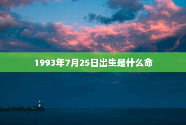 1993年7月25日出生是什么命
