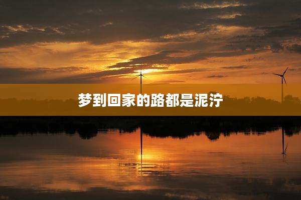 梦到回家的路都是泥泞