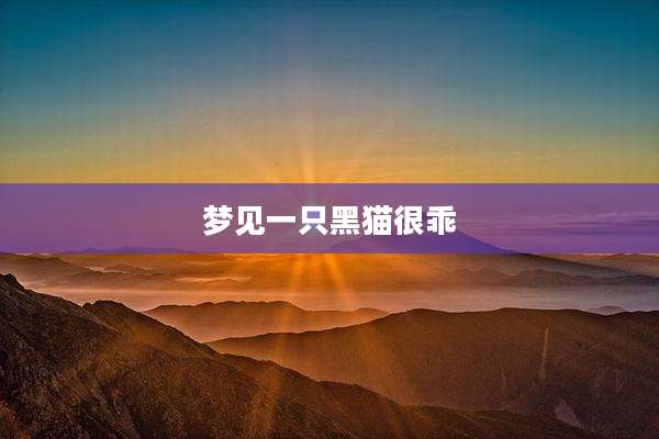梦见一只黑猫很乖