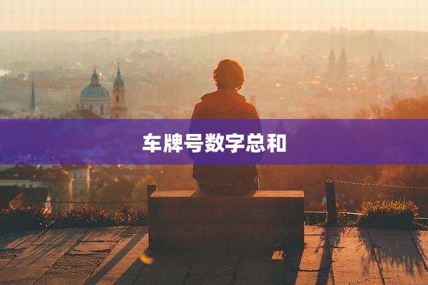 车牌号数字总和