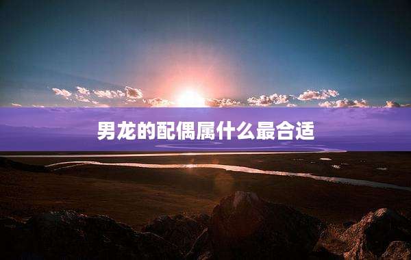 男龙的配偶属什么最合适
