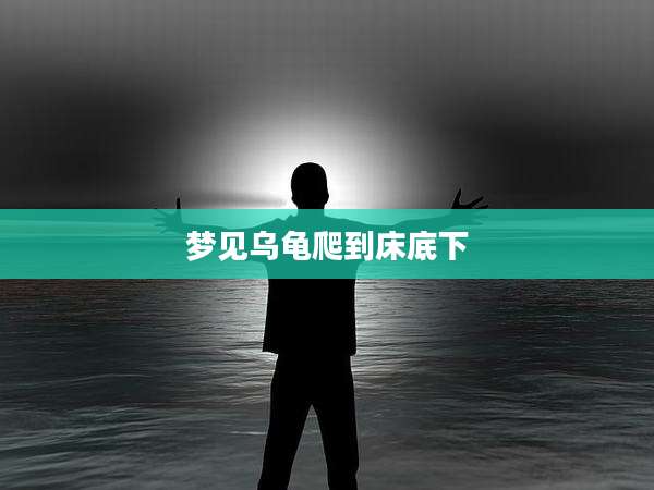 梦见乌龟爬到床底下