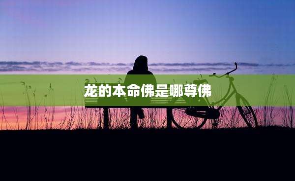 龙的本命佛是哪尊佛