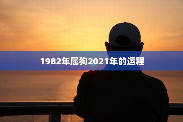 1982年属狗2021年的运程