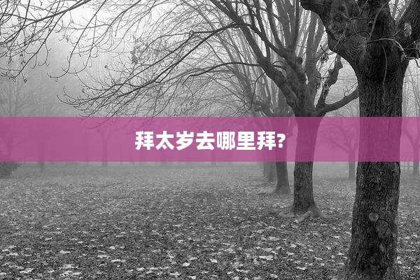 拜太岁去哪里拜?