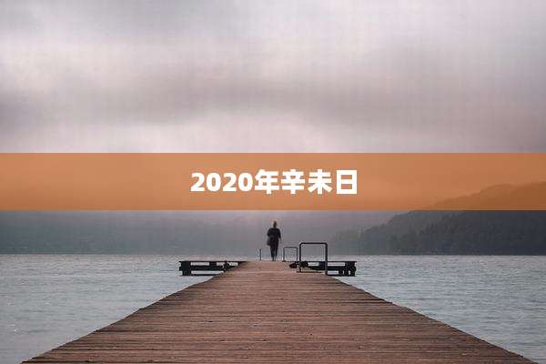 2020年辛未日