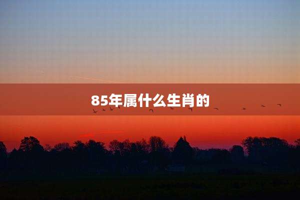 85年属什么生肖的