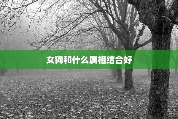 女狗和什么属相结合好