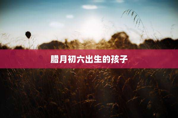 腊月初六出生的孩子