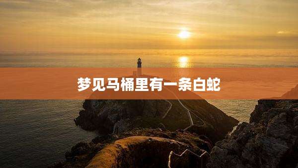 梦见马桶里有一条白蛇