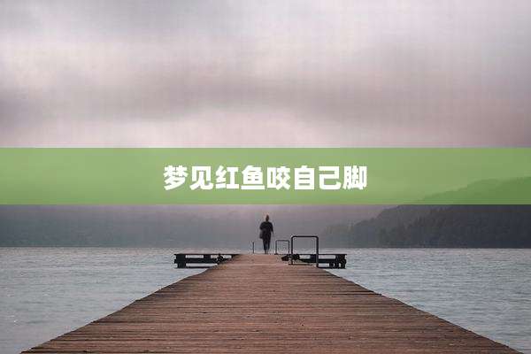 梦见红鱼咬自己脚