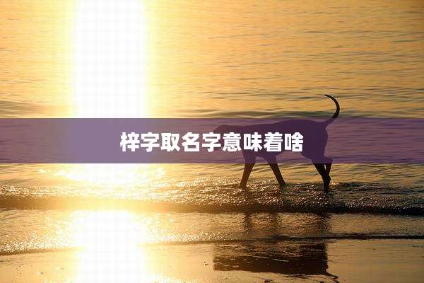 梓字取名字意味着啥
