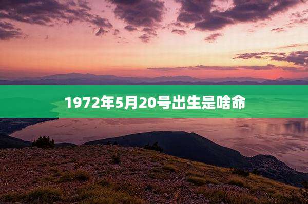 1972年5月20号出生是啥命