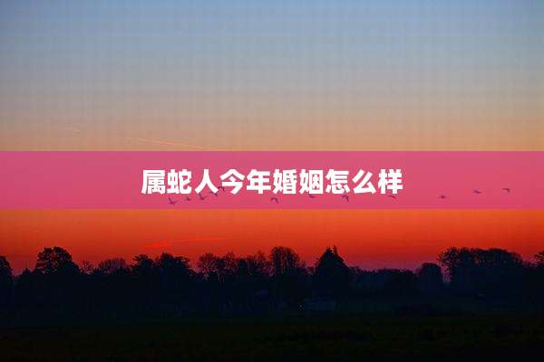 属蛇人今年婚姻怎么样