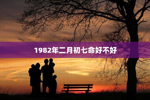 1982年二月初七命好不好
