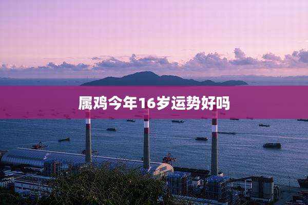 属鸡今年16岁运势好吗