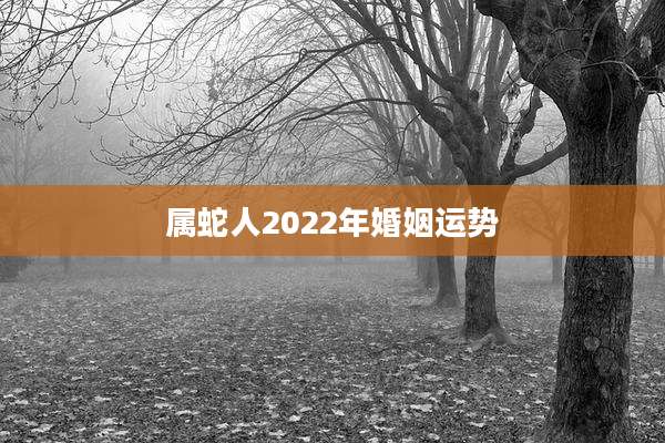 属蛇人2022年婚姻运势