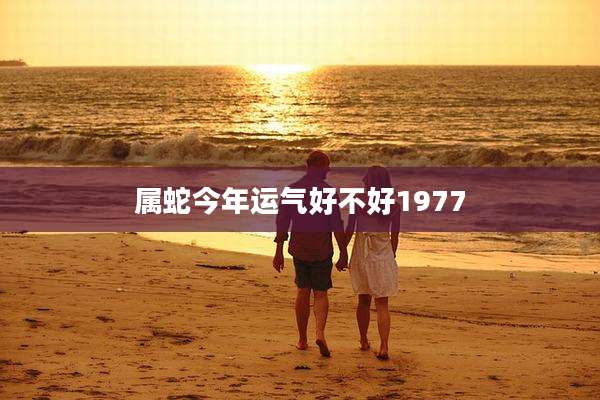 属蛇今年运气好不好1977