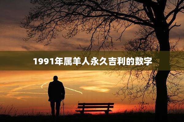 1991年属羊人永久吉利的数字