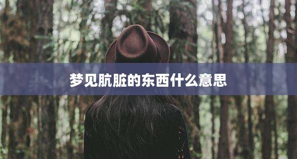 梦见肮脏的东西什么意思
