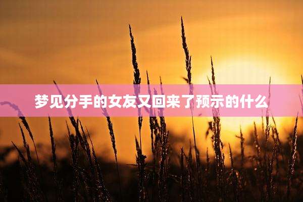梦见分手的女友又回来了预示的什么