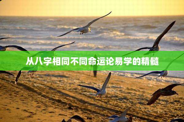 从八字相同不同命运论易学的精髓