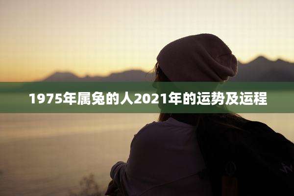 1975年属兔的人2021年的运势及运程