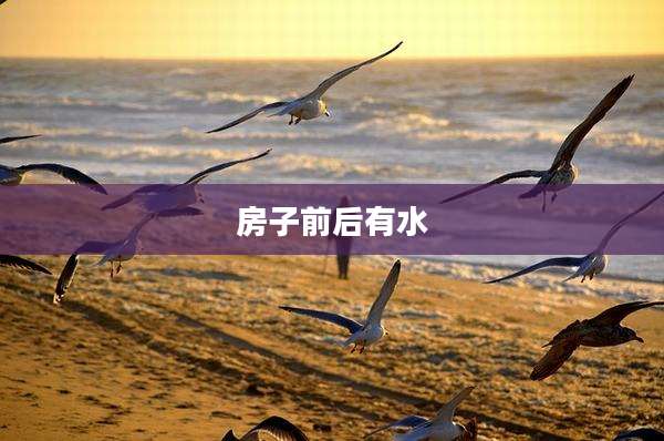 房子前后有水