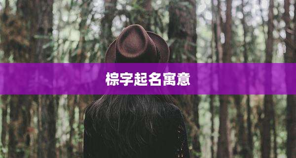 棕字起名寓意