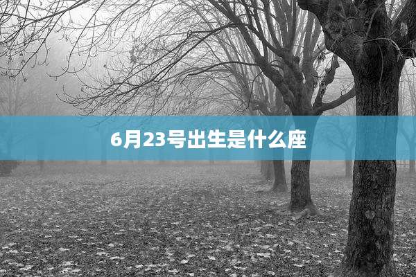 6月23号出生是什么座