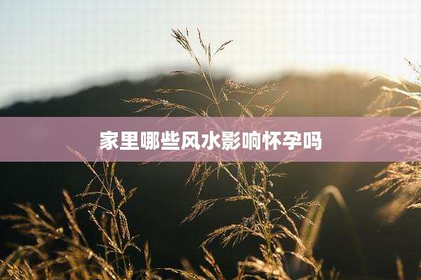 家里哪些风水影响怀孕吗
