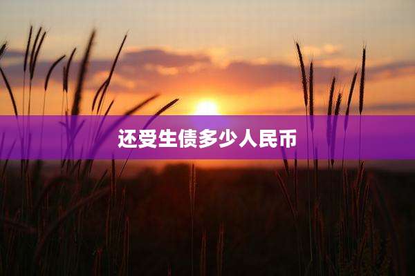 还受生债多少人民币