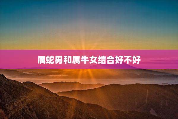 属蛇男和属牛女结合好不好