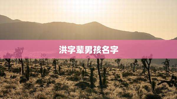 洪字辈男孩名字