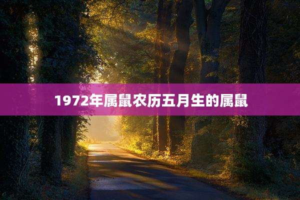 1972年属鼠农历五月生的属鼠