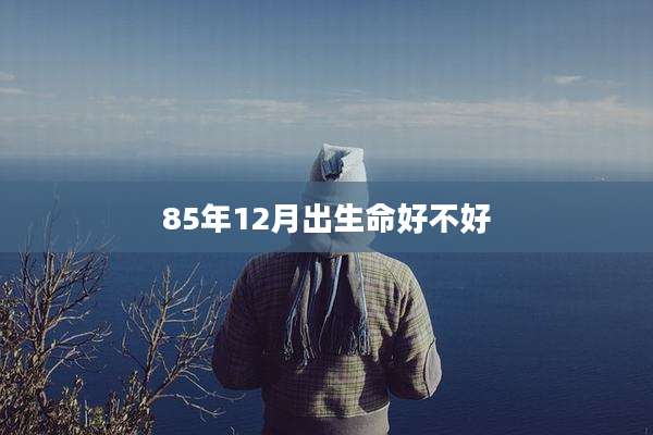 85年12月出生命好不好