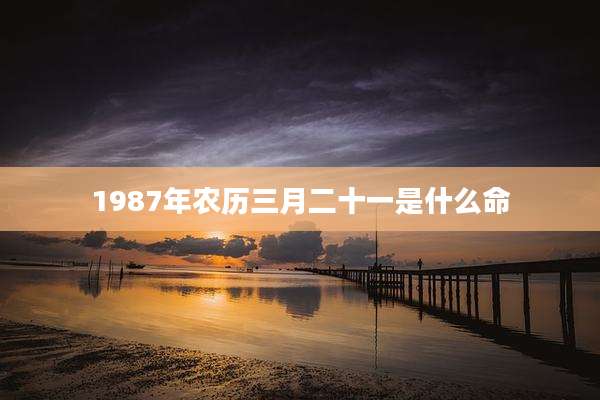 1987年农历三月二十一是什么命