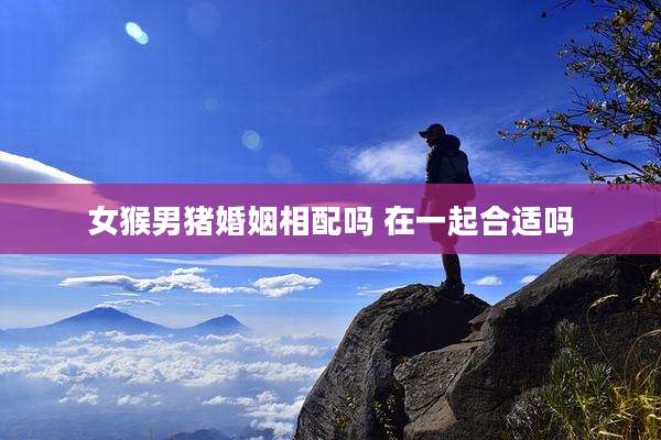 女猴男猪婚姻相配吗 在一起合适吗