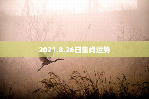 2021.8.26日生肖运势