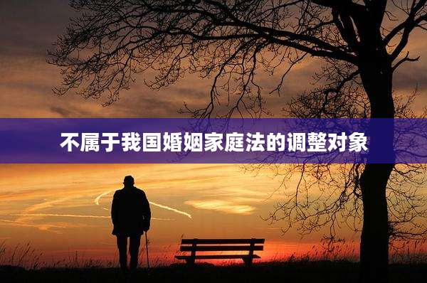 不属于我国婚姻家庭法的调整对象
