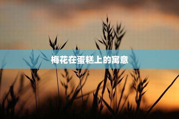 梅花在蛋糕上的寓意
